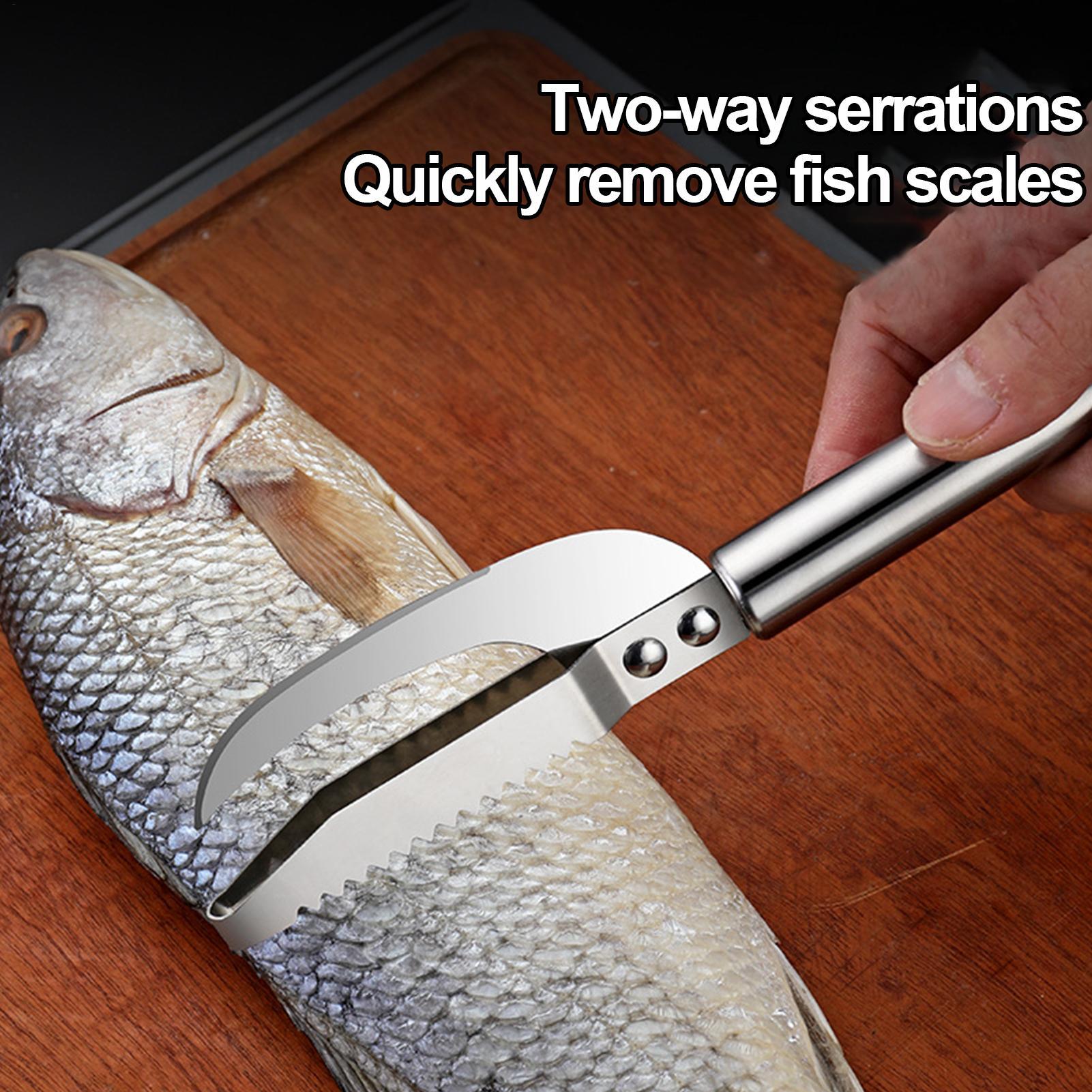 魚鱗除去ナイフ、エビの糸取り、ステンレス製魚鱗除去器、魚の皮 - Kitchen Gadgets Everyone Needs のレビューと価格